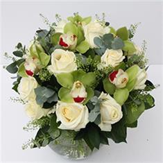 Exotic White Roses 
