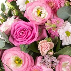 Florist Choice Seasonal Arrangement 
