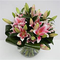 Just Lilies 