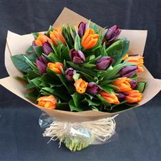 Mixed Tulips 
