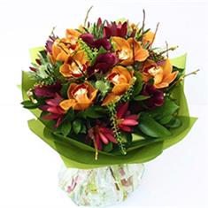 Orchids Delight 