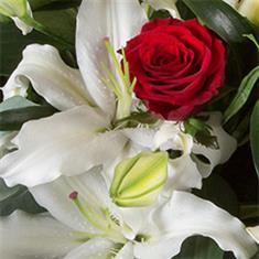 Romantic Florist Choice Bouquet 