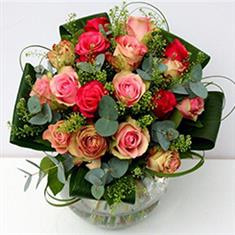 Rosa  