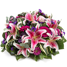Stargazer Posy Pad 