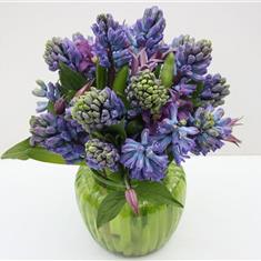 Sweet Hyacinth Vase 