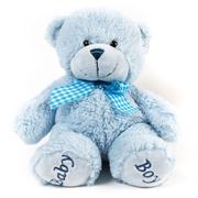 Baby Boy Bear 