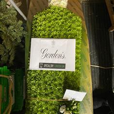 Gin Bottle