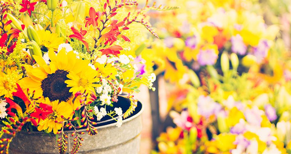Roberts & Co Florist