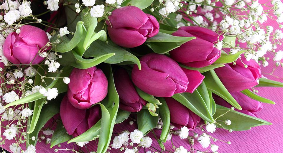 Roberts & Co Florist