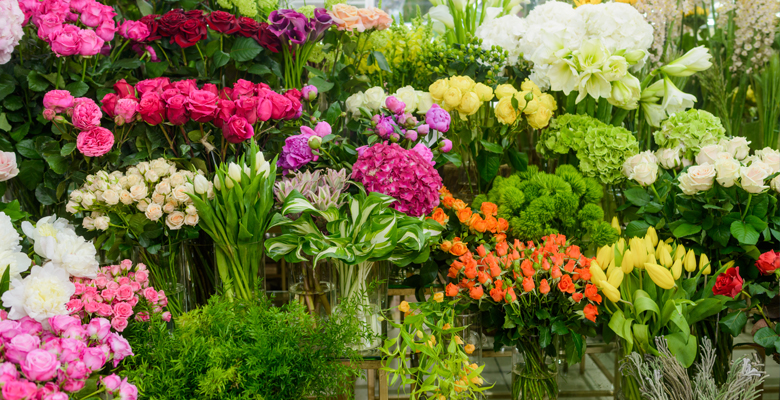 Roberts & Co Florist