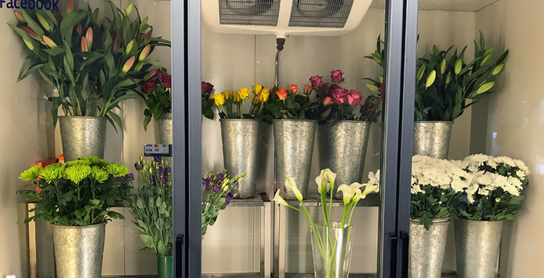 Roberts & Co Florist